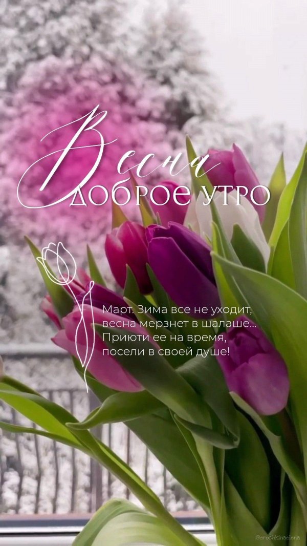 добрейшего утречка