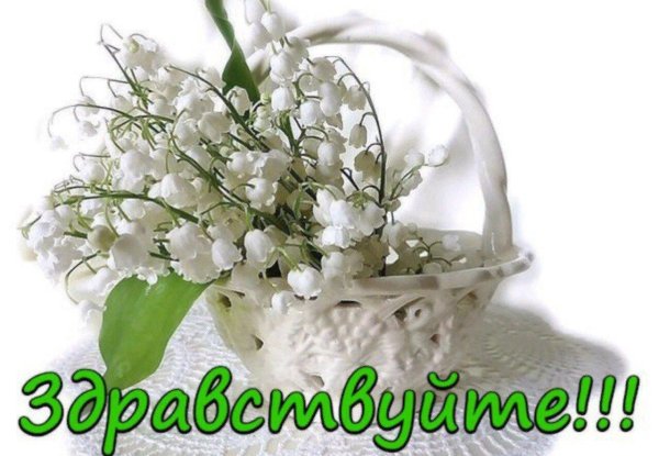 здравствуйте открытка