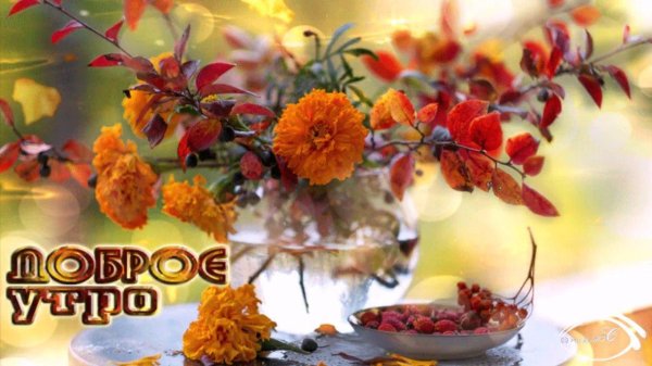 доброе октябрьское утро пятницы