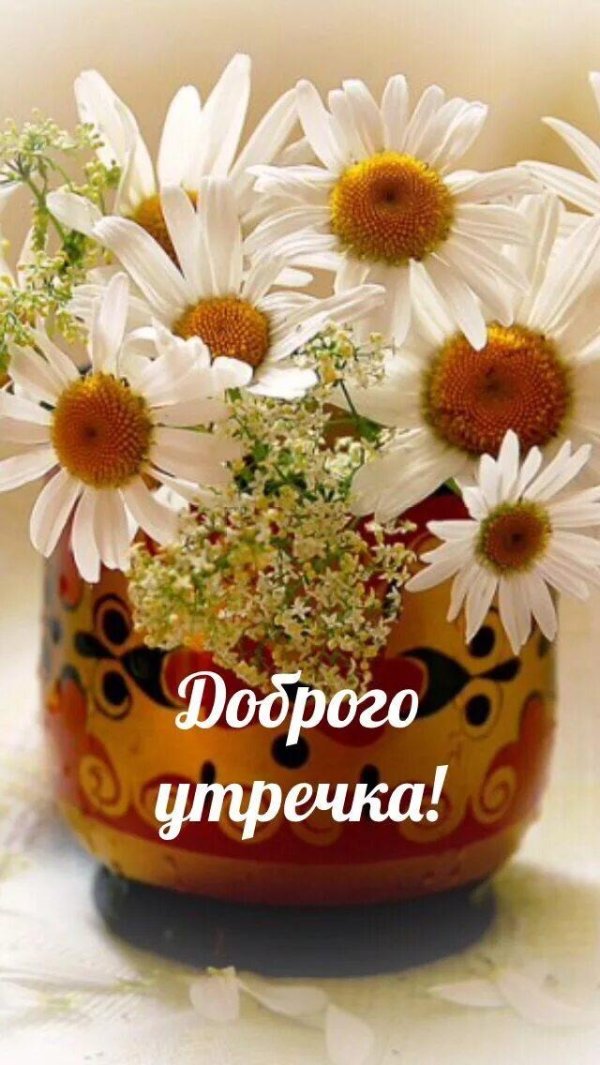 доброго утра ромашки