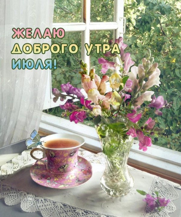 летнего утра