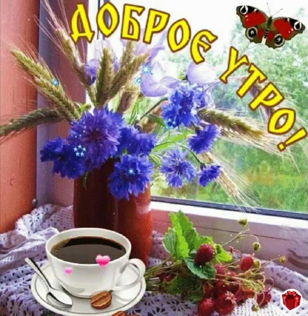 доб утро лето