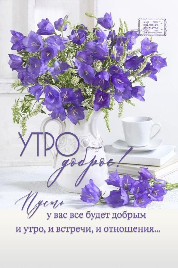 доброго утра цветы