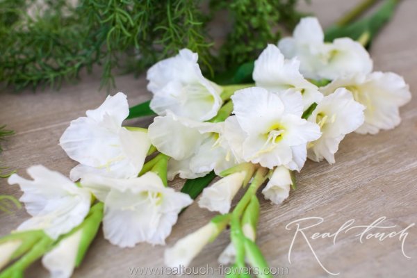 букет белых гладиолусов