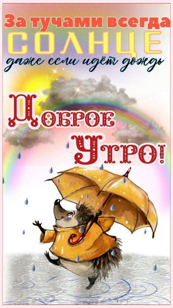 ежик под дождем