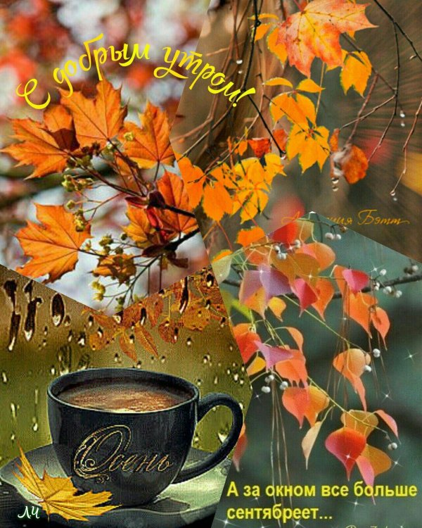 добрейшего осеннего утра