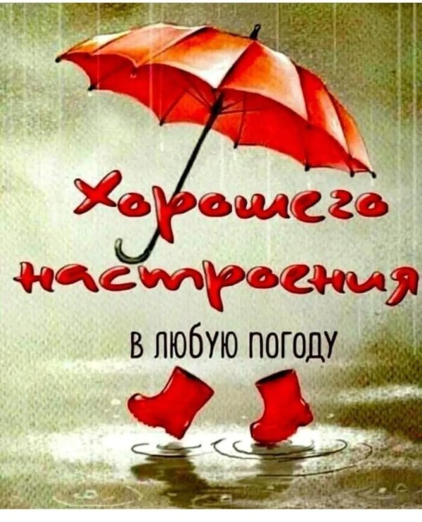 отличного настроения в любую погоду