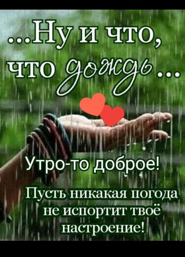 дождливого утра