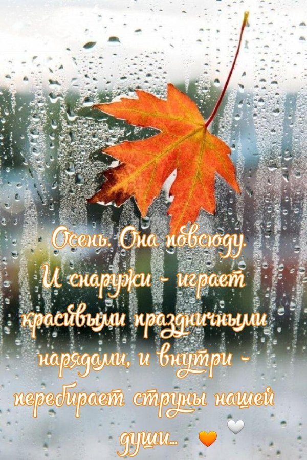 дождливая осень