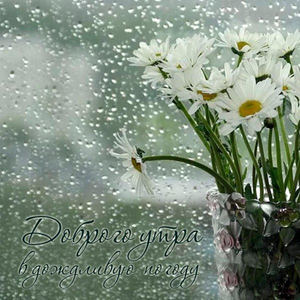 доброе летнее дождливое утро