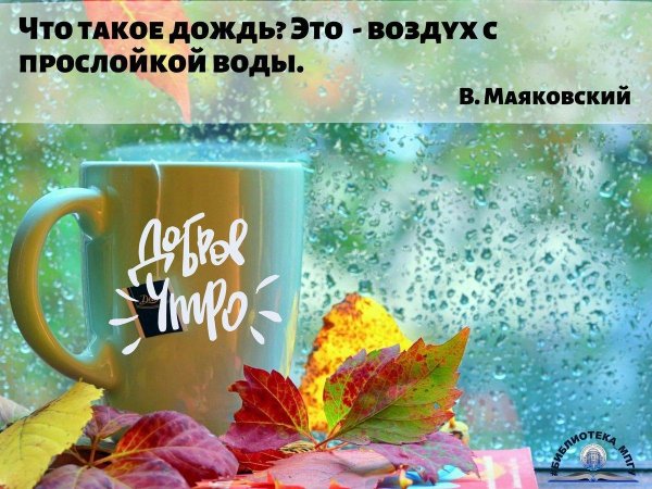 осень дождь чай