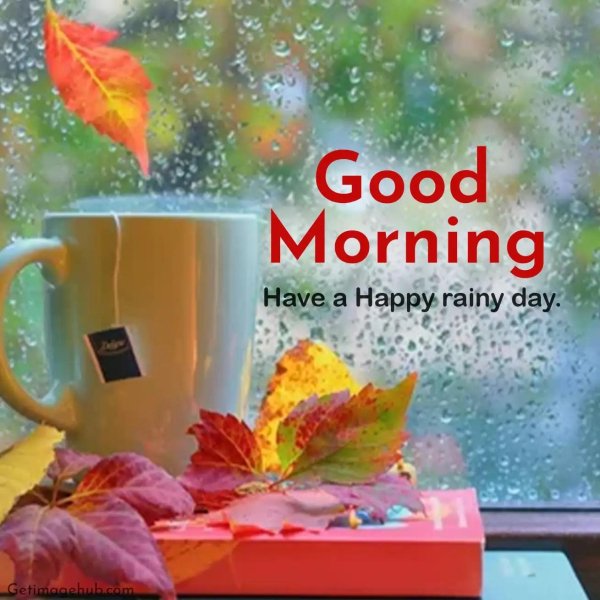 good rainy morning