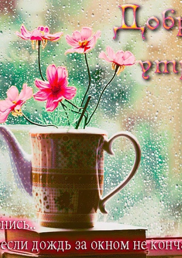 доброго дождливого утра