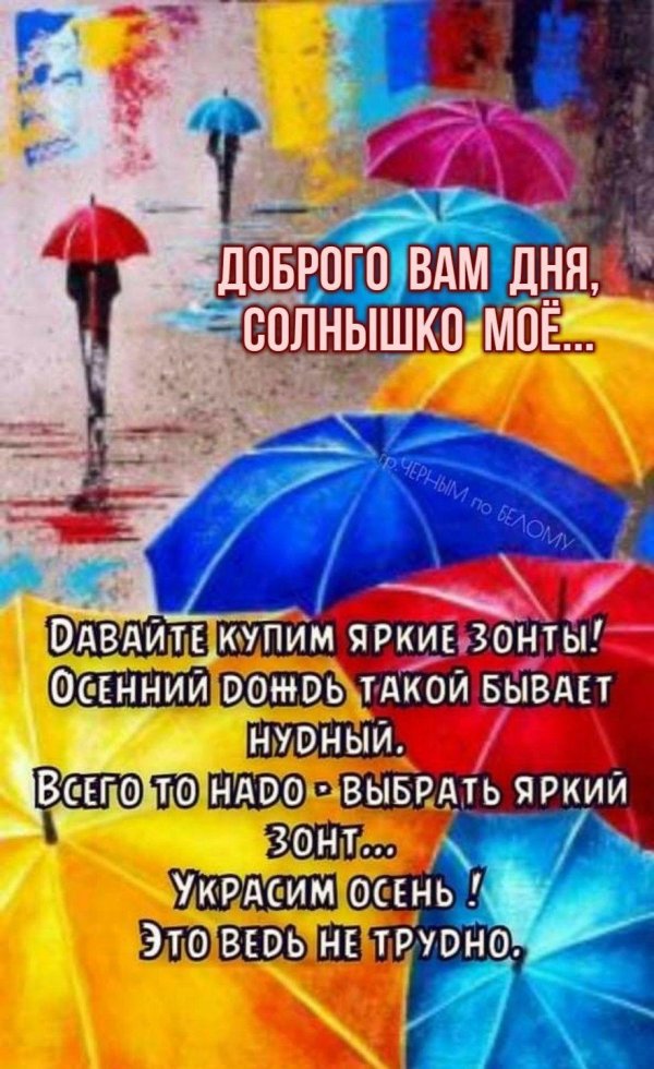 разноцветные зонтики