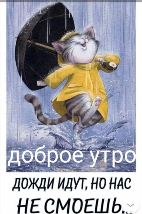 дождливое утро