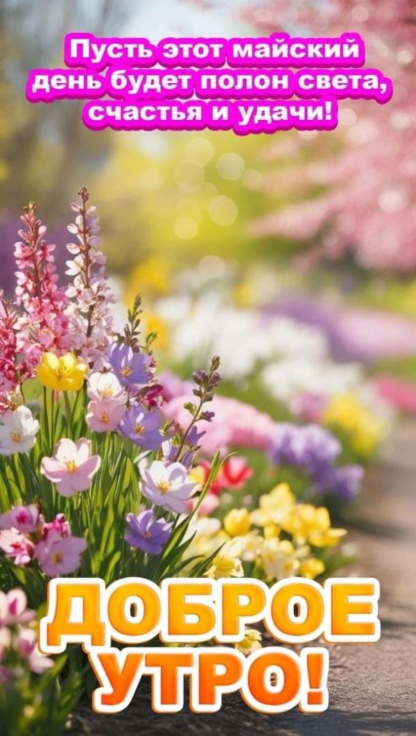 добрый день