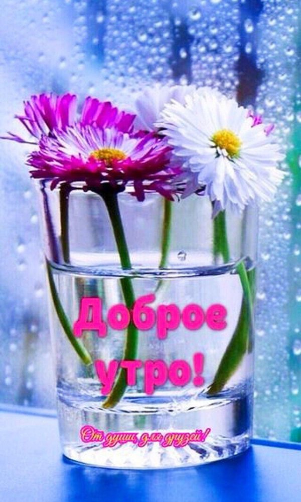 с добрым утром