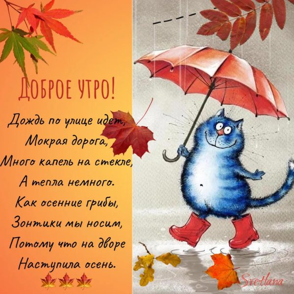 доброго утра дождь