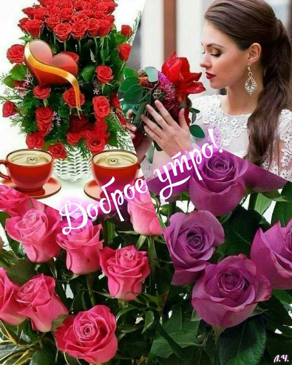 добрейшего утречка