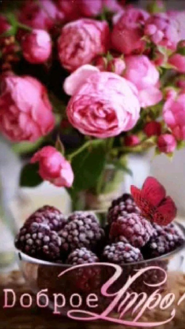 доброе утро малина