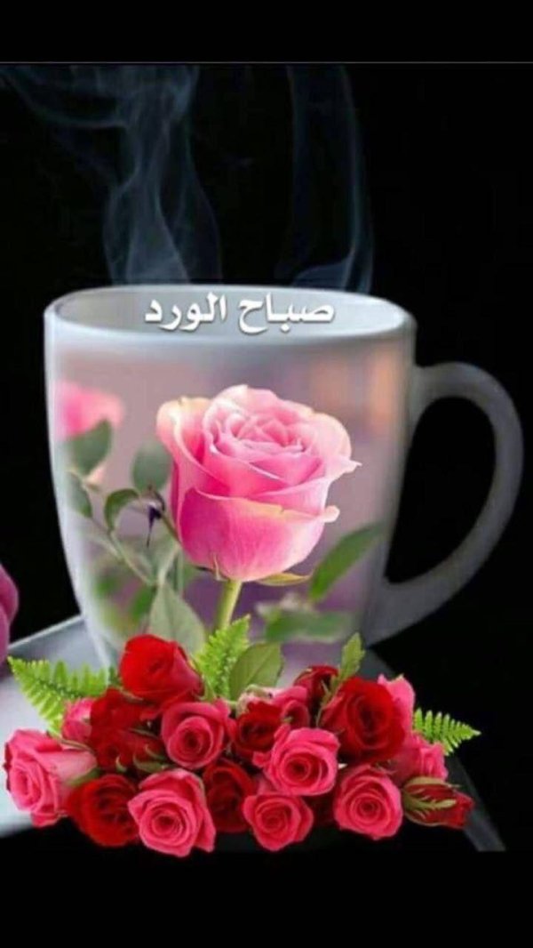 хайрли тонг хайрли кун