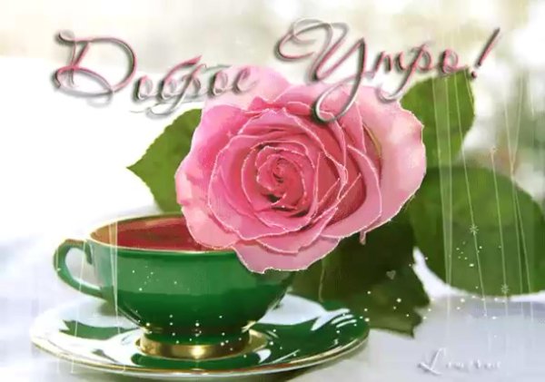 доброе утро с цветами открытки