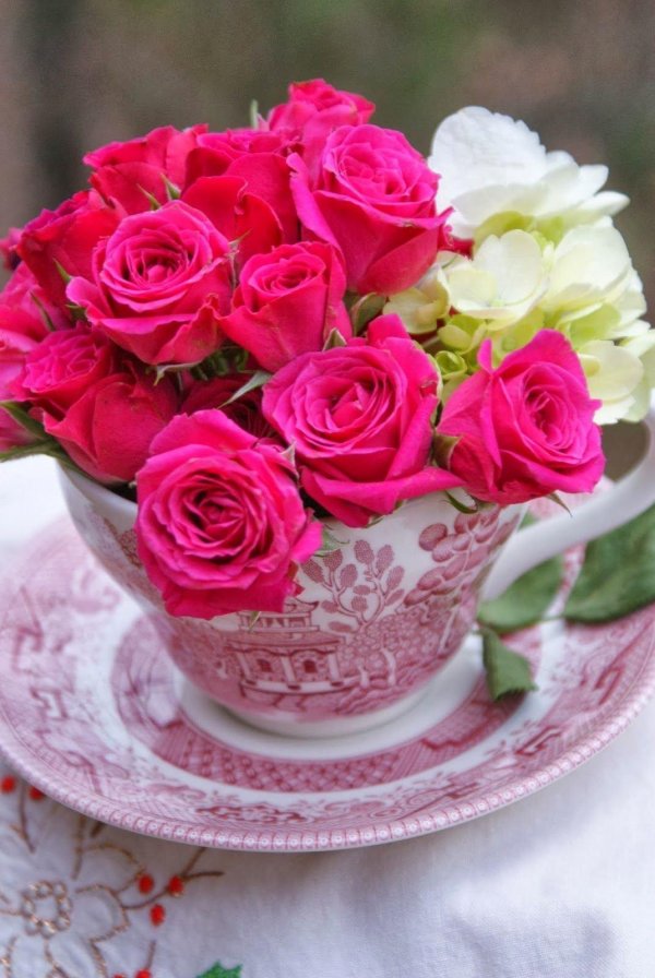 цветы в чашке