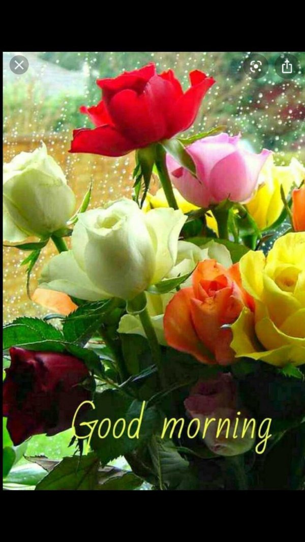 С цветами с пожеланиями доброго утра с розами