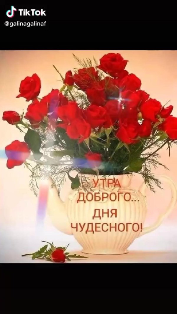 утра доброго дня чудесного