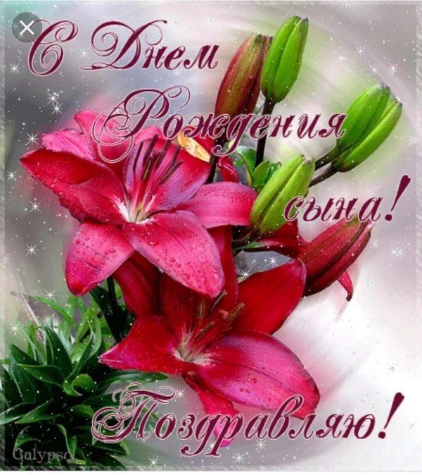 открытка лилии