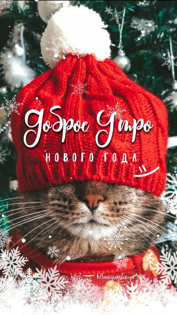 доброе утро новогоднее