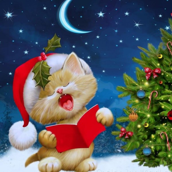 новогодние котик