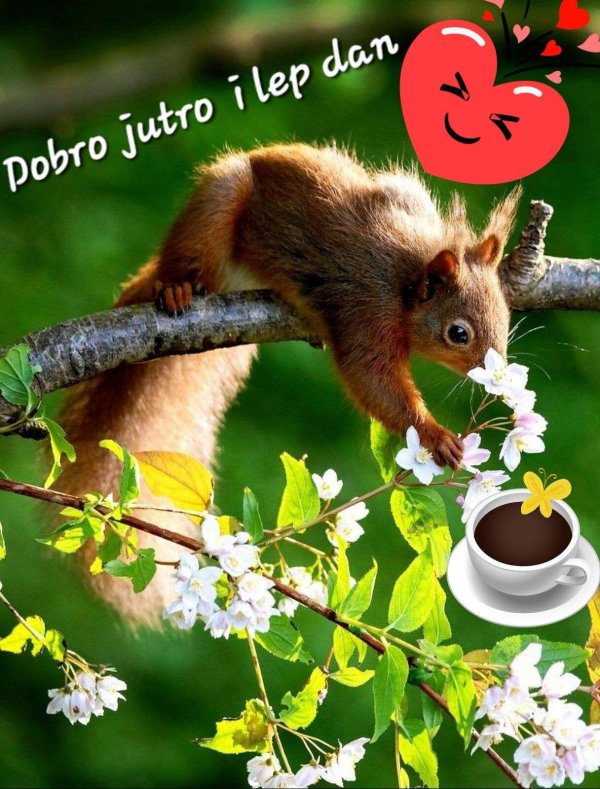 весна природа животные