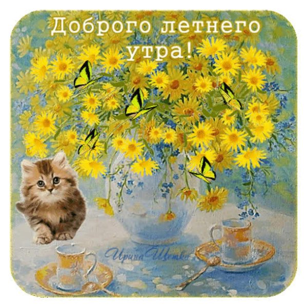 добрейшего летнего утра