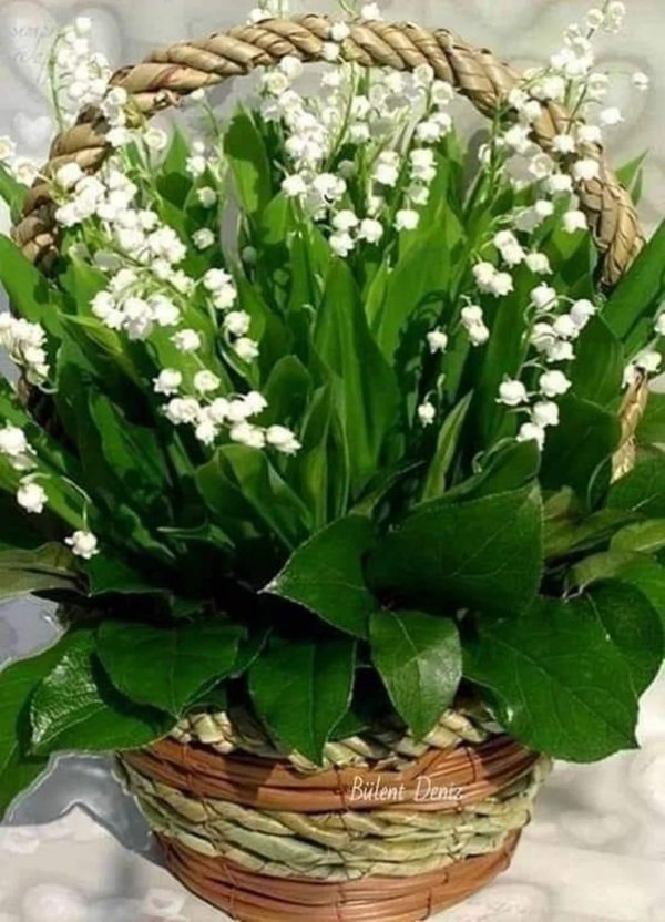 букет ландышей