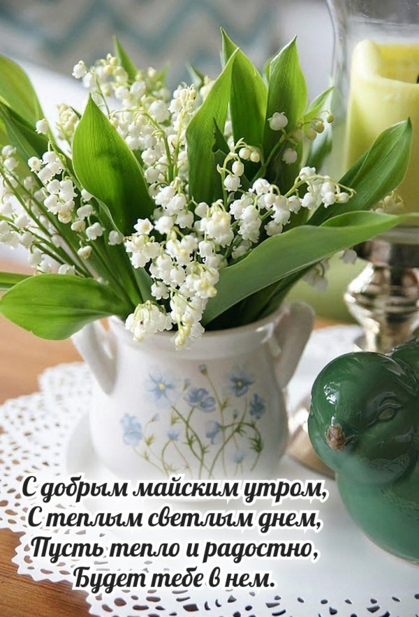 хорошего дня и отличного ландыши