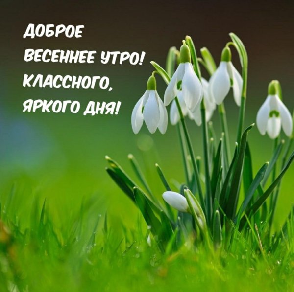 добрейшего весеннего утра