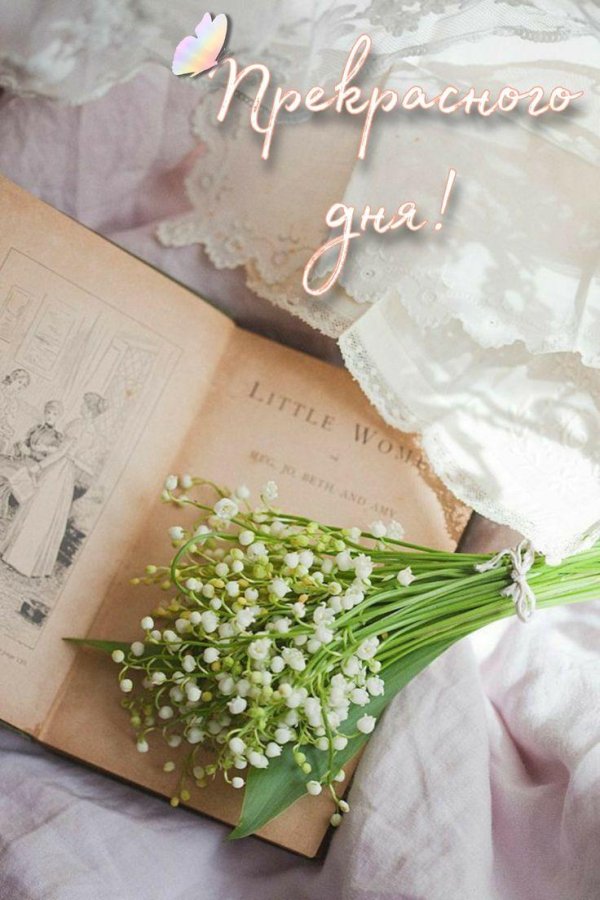 цветы книги