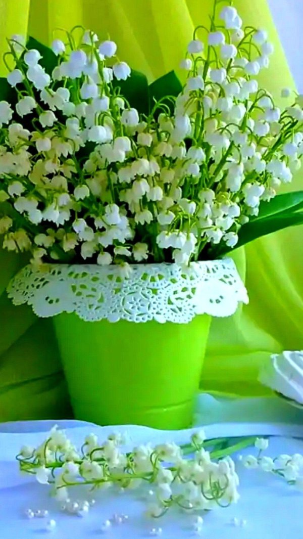 ландыш букет