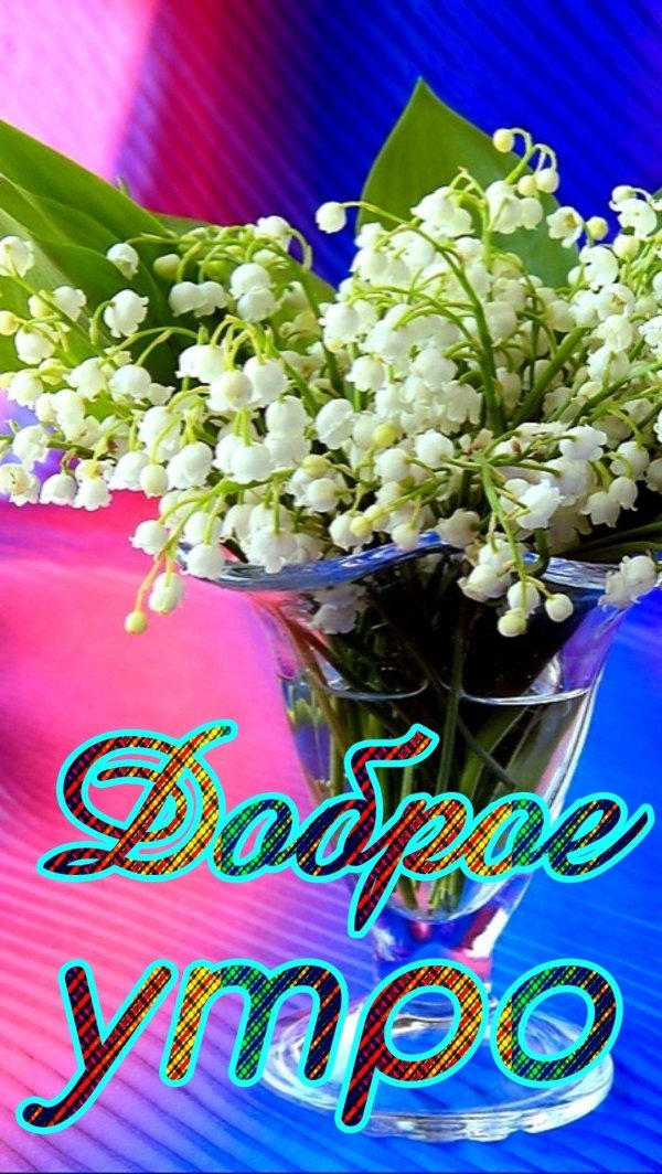 пландыши светлого мая привет