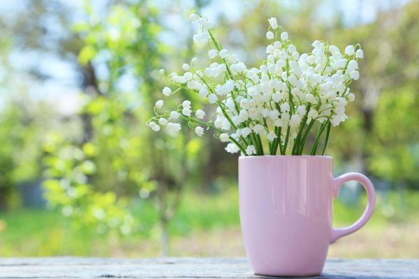 весенние цветы в лейке