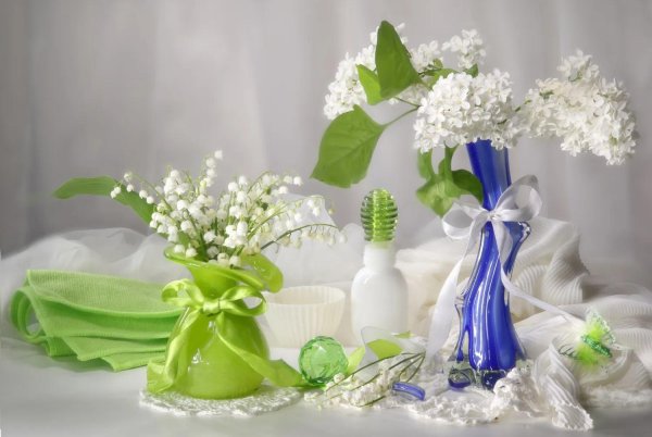 спейранта ландышевая