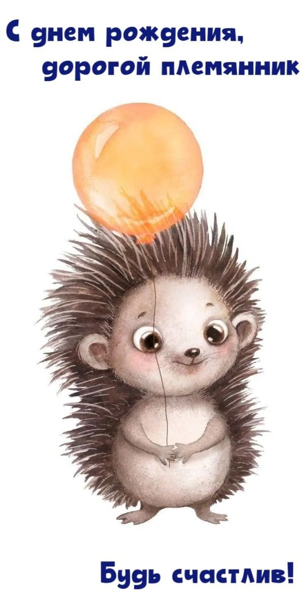 с днём рождения дорогой племянник