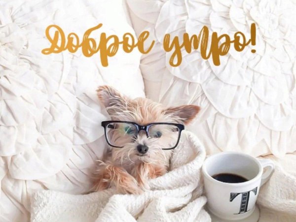 утра доброго