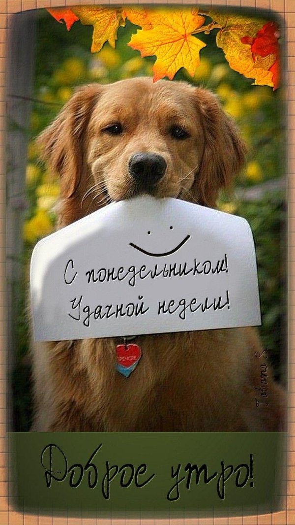 хорошей недели