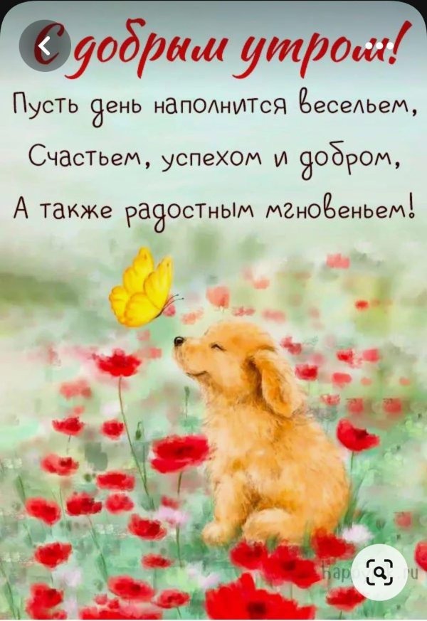 пожелания на день