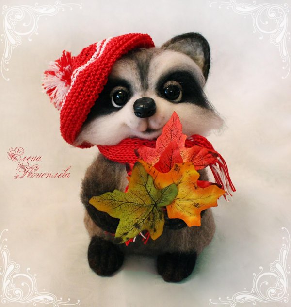 валяный енот