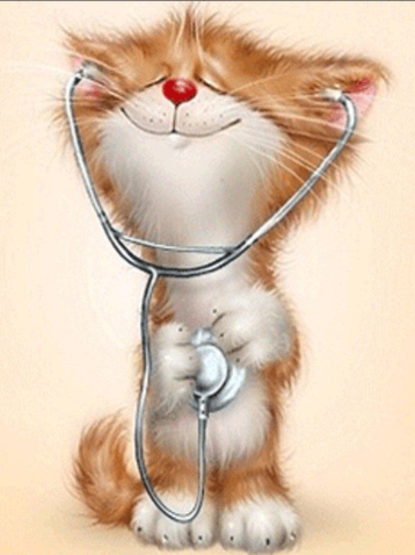 коты алексея долотова