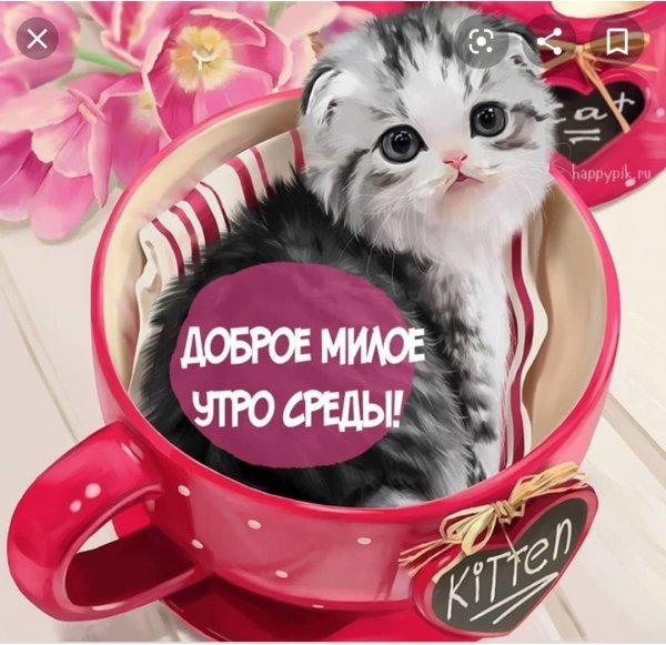 доброго утра среды прикольные