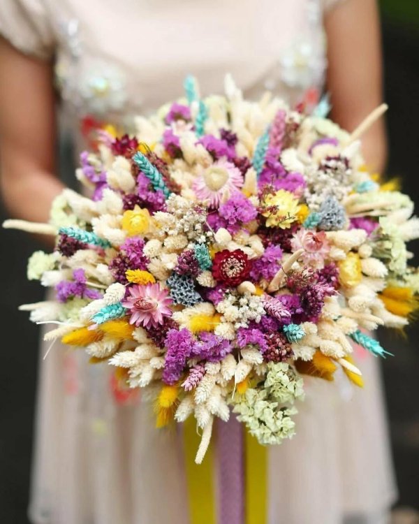 сухоцветы для флористов